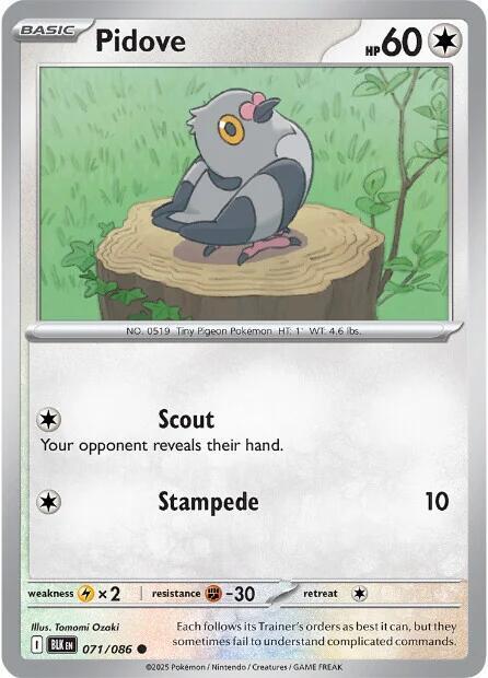 Pidove (071/086) Common (BLK)