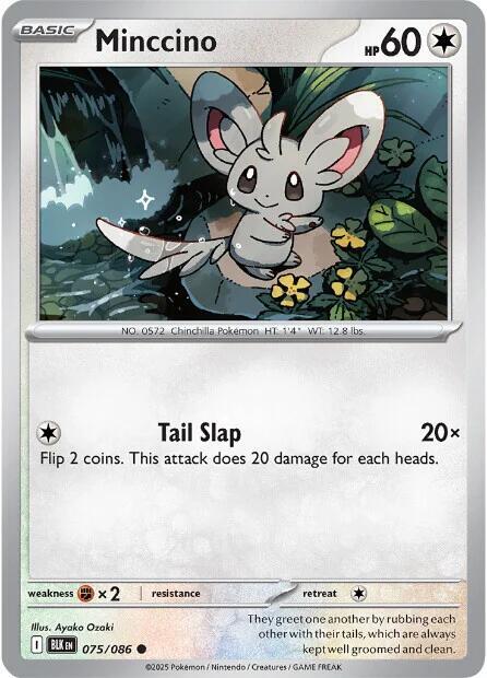 Minccino (075/086) Common (BLK)