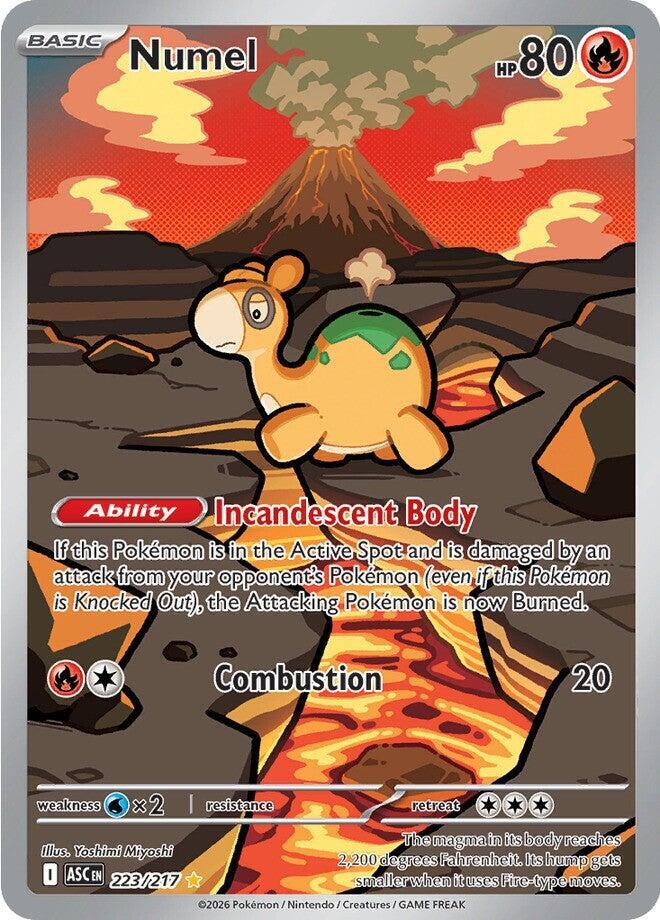 Numel (223/217) Illustration Rare (ASC)