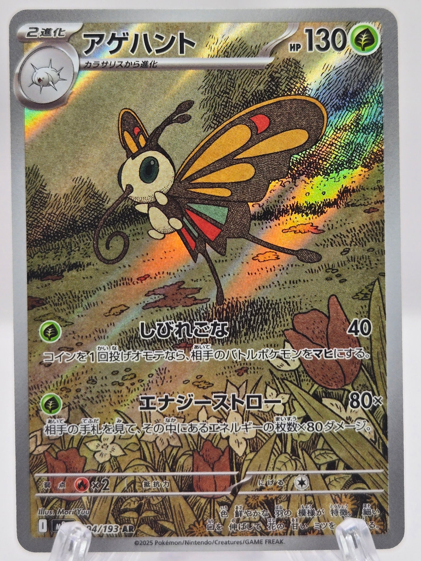 Beautifly 194/193 (JP)