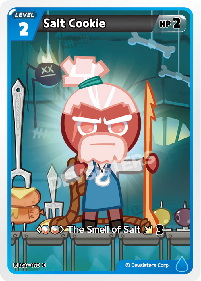 Salt Cookie - BS6-070 [C]